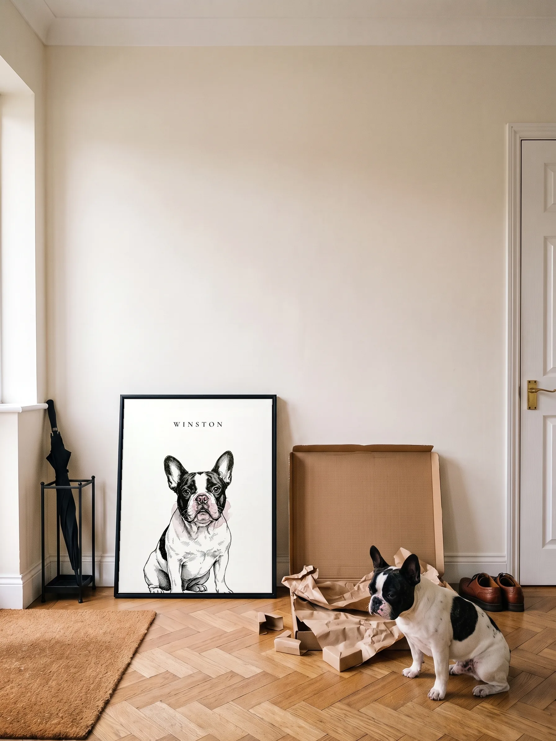 A black and white French bulldog sitting in a hallway by the paper of the open flat carton its framed canvas portrait came in; the portrait leans on the wall