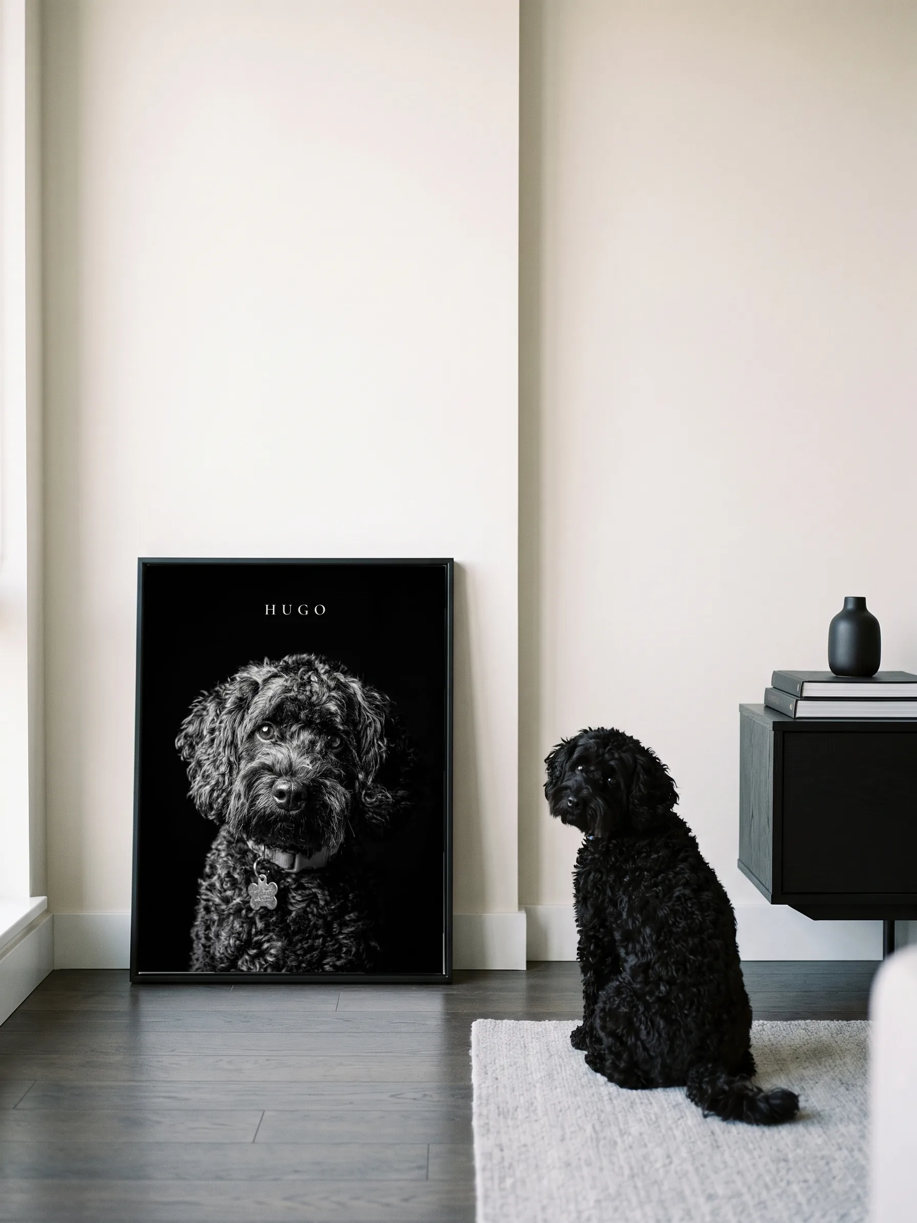 A black poodle sitting on a dark oak floor, seen from behind, looking back at its own black-and-white portrait: a framed canvas leaning on the wall