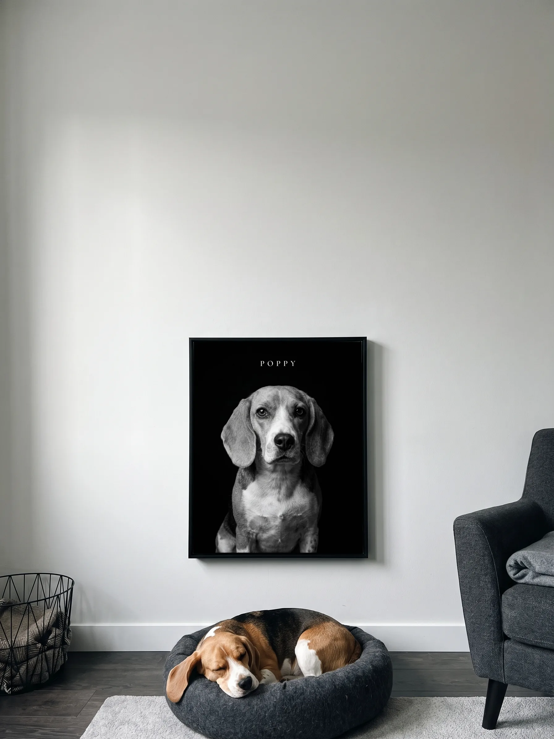 A beagle asleep in its bed under its own black-and-white portrait, a framed canvas on the wall