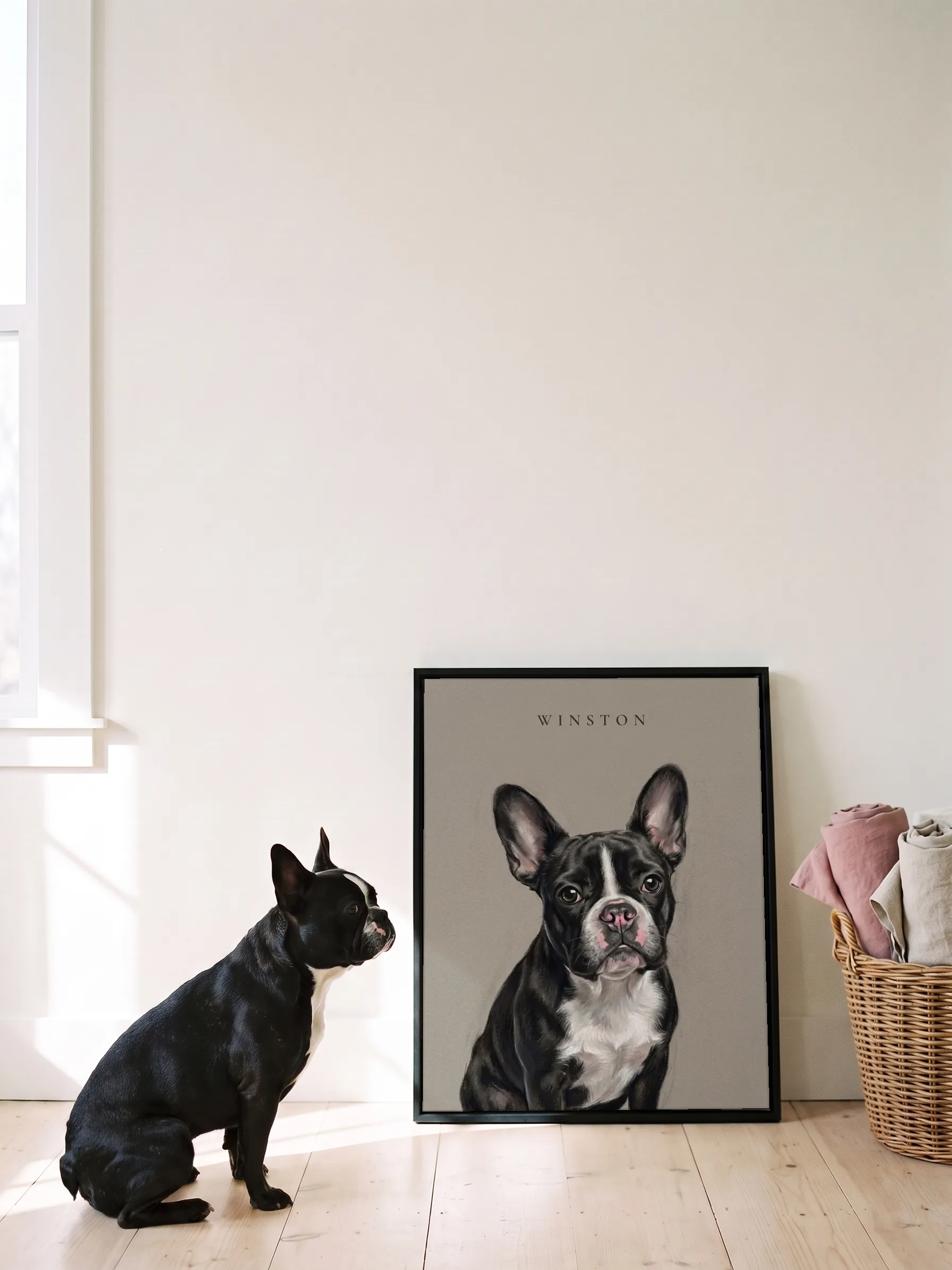 A black and white French bulldog sitting in profile, nose to its own pastel portrait: a canvas in a slim black frame leaning on a white wall in the sun