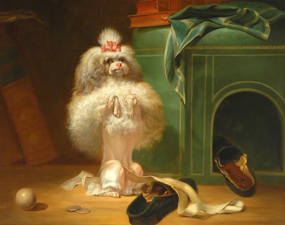 A small fluffy white dog with a pink bow sitting up on its hind legs beside a green kennel, slippers and a ball on the floor