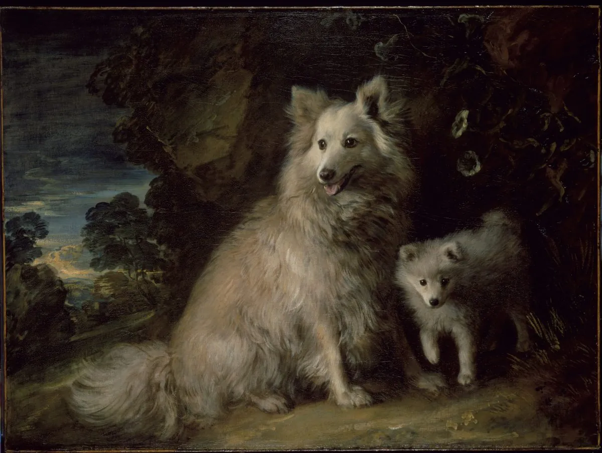A cream Pomeranian sitting with her puppy beside her against dark trees and an evening sky