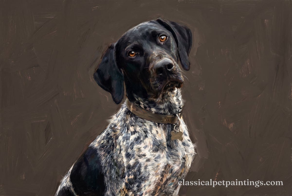 A black roan German shorthaired pointer with a solid black head and a black shoulder patch, wearing a collar with a bone tag, head tilted, in oil paint