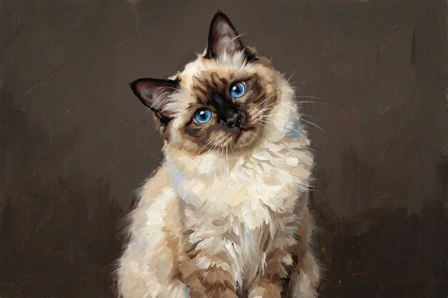 Mochi the ragdoll, painted in the Curiosity style