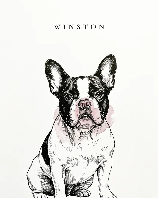 Winston the french bulldog, painted in the Quill & Ink style