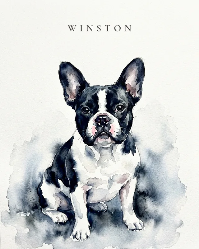 Winston the french bulldog, painted in the Aquarelle Wash style