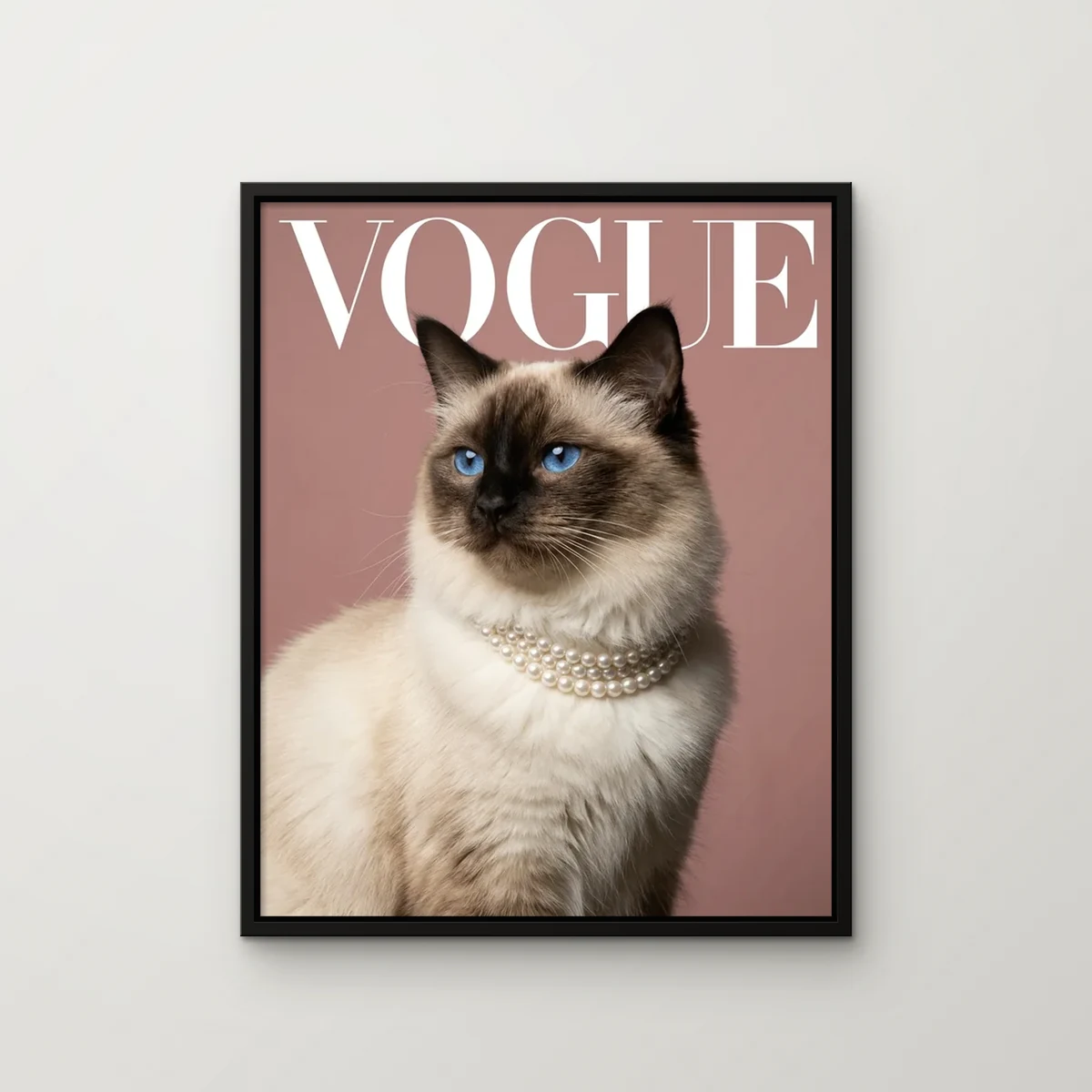 Mochi the ragdoll painted in the The Celebrity style